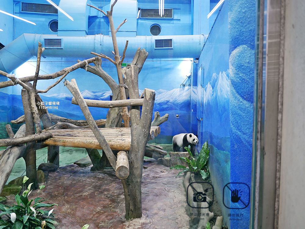 臺北市立動物園各大特色館，必遊熱帶雨林穿山甲館親身貼近小動物們