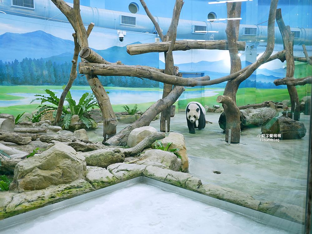 臺北市立動物園各大特色館，必遊熱帶雨林穿山甲館親身貼近小動物們