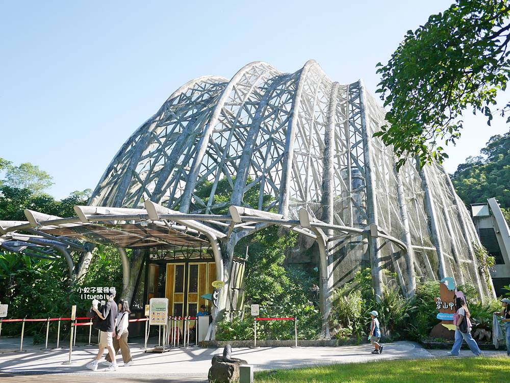 臺北市立動物園各大特色館，必遊熱帶雨林穿山甲館親身貼近小動物們