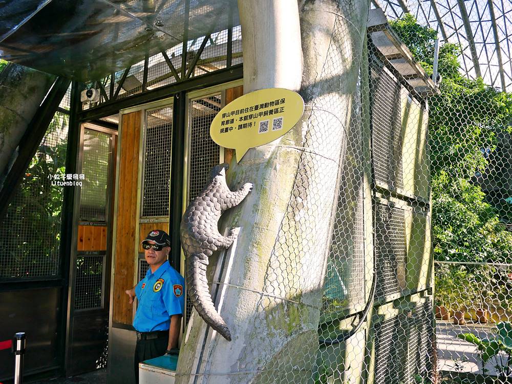臺北市立動物園各大特色館，必遊熱帶雨林穿山甲館親身貼近小動物們