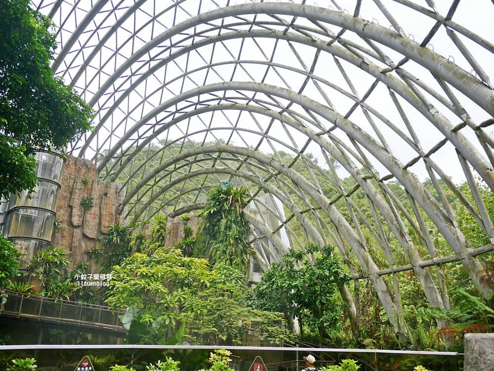 臺北市立動物園各大特色館，必遊熱帶雨林穿山甲館親身貼近小動物們