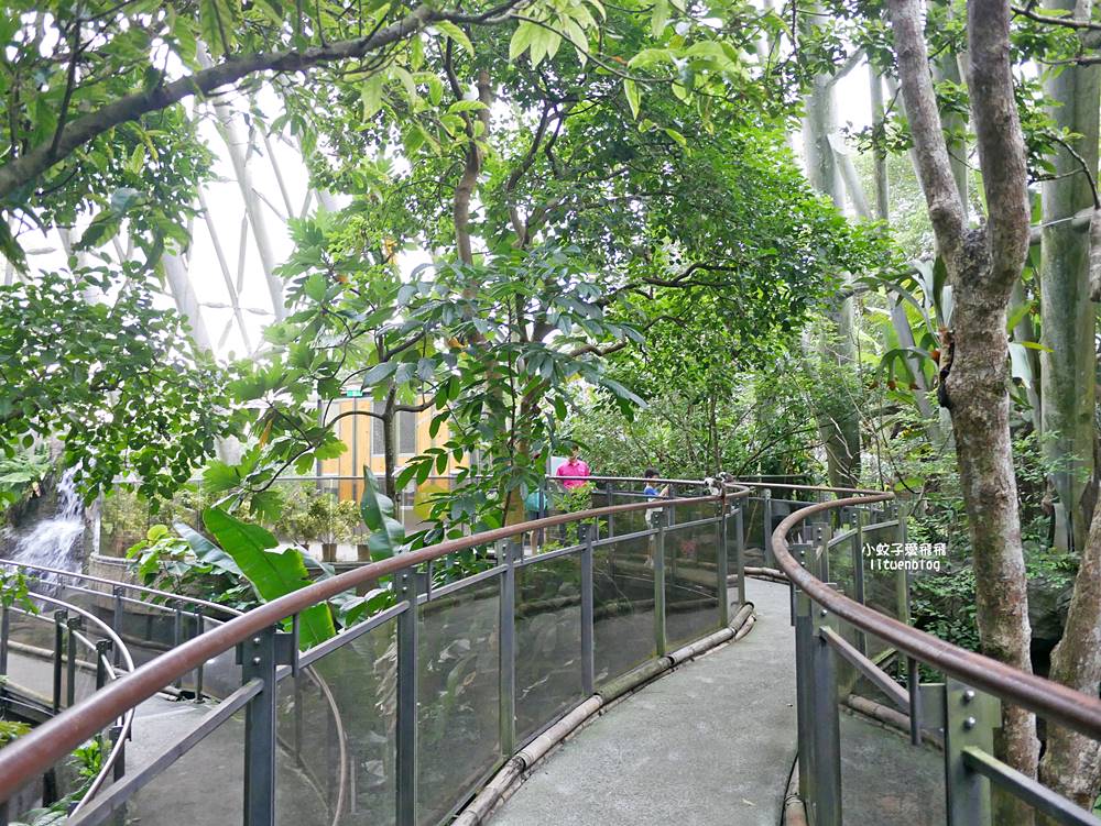 臺北市立動物園各大特色館，必遊熱帶雨林穿山甲館親身貼近小動物們