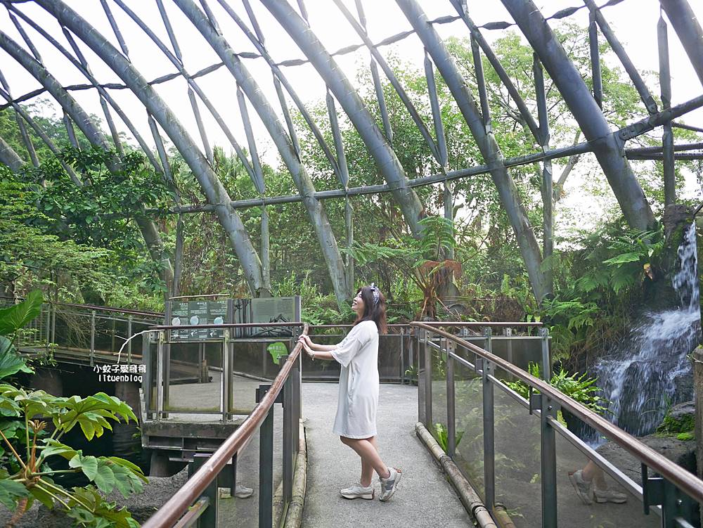 臺北市立動物園各大特色館，必遊熱帶雨林穿山甲館親身貼近小動物們