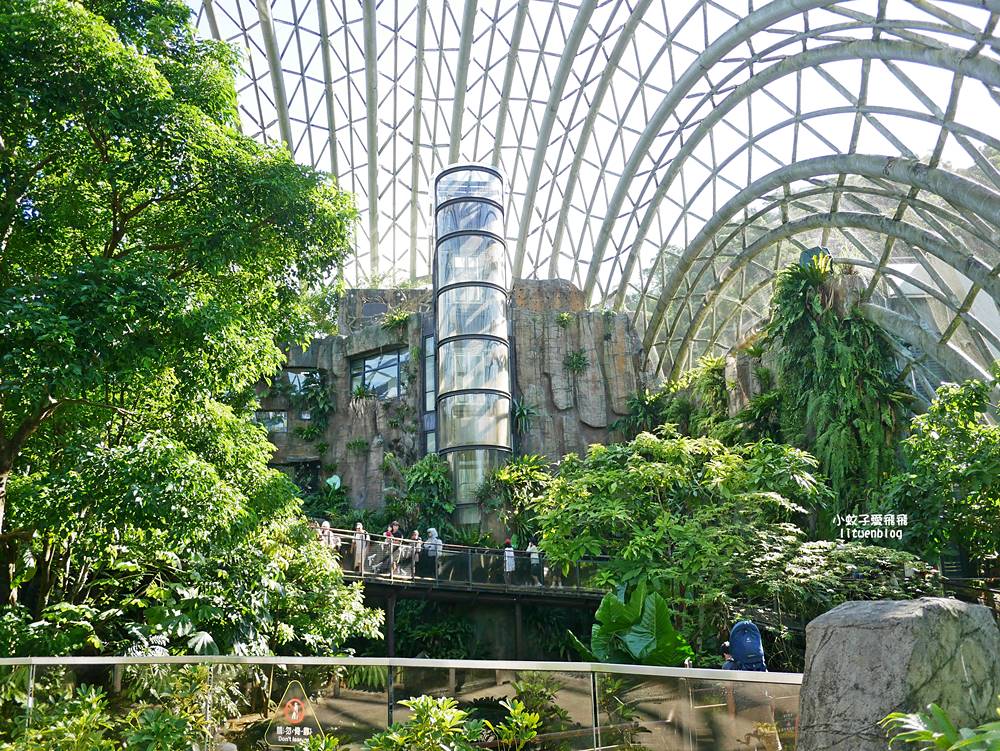 臺北市立動物園各大特色館，必遊熱帶雨林穿山甲館親身貼近小動物們