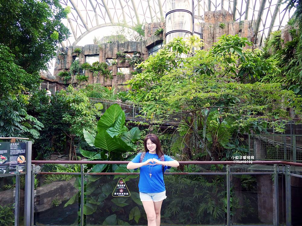 臺北市立動物園各大特色館，必遊熱帶雨林穿山甲館親身貼近小動物們
