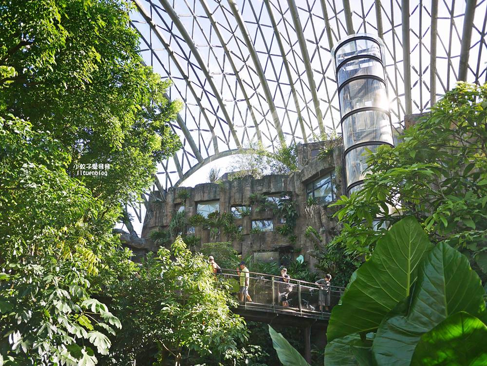 臺北市立動物園各大特色館，必遊熱帶雨林穿山甲館親身貼近小動物們