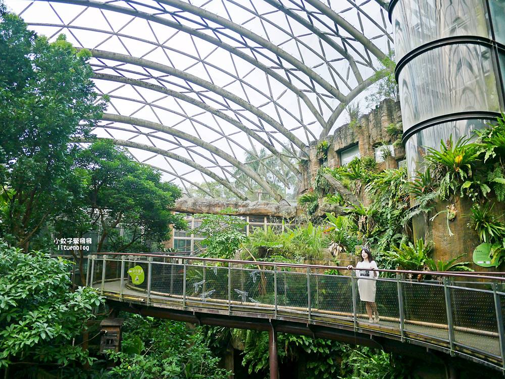 臺北市立動物園各大特色館，必遊熱帶雨林穿山甲館親身貼近小動物們