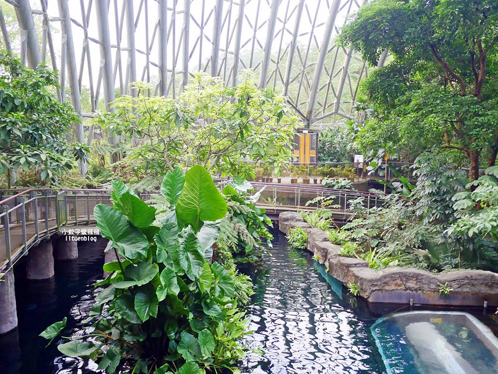 臺北市立動物園各大特色館，必遊熱帶雨林穿山甲館親身貼近小動物們