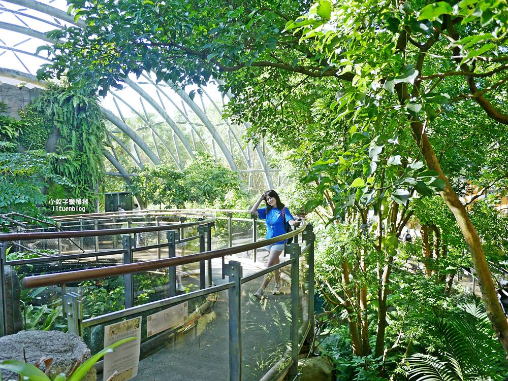 臺北市立動物園各大特色館，必遊熱帶雨林穿山甲館親身貼近小動物們