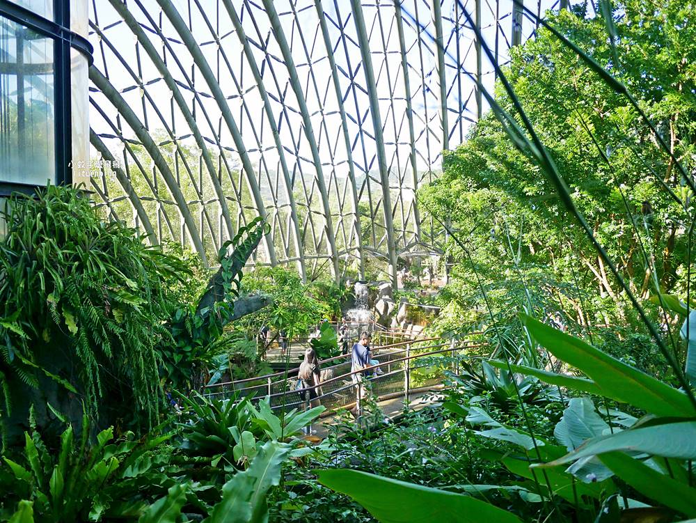 臺北市立動物園各大特色館，必遊熱帶雨林穿山甲館親身貼近小動物們