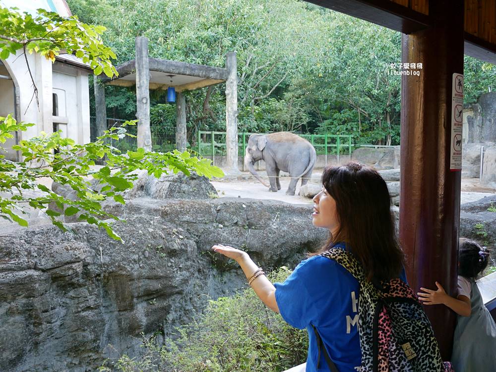 臺北市立動物園各大特色館，必遊熱帶雨林穿山甲館親身貼近小動物們
