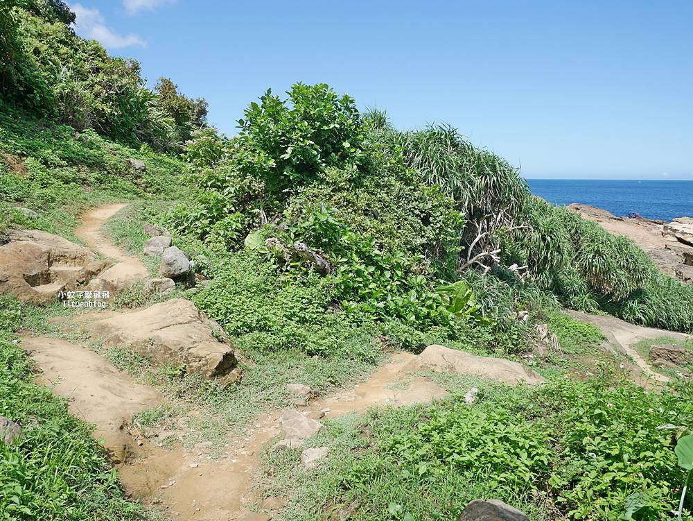 水湳洞秘境「大野狼與小綿羊岩」動感優美的天然海蝕岩ig熱點