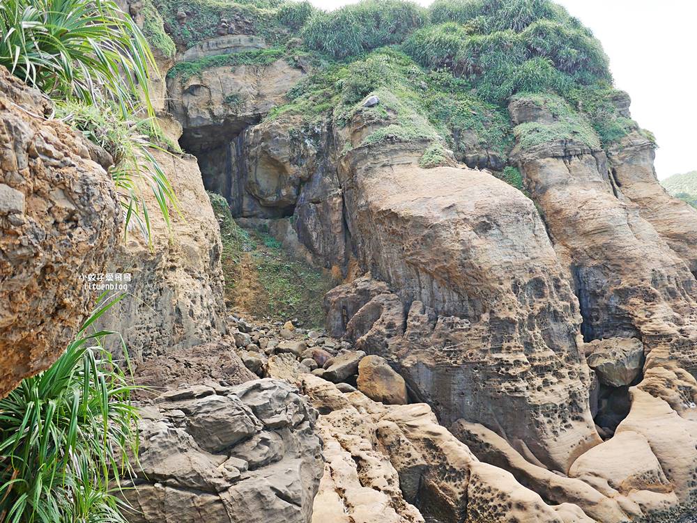 水湳洞秘境「大野狼與小綿羊岩」動感優美的天然海蝕岩ig熱點