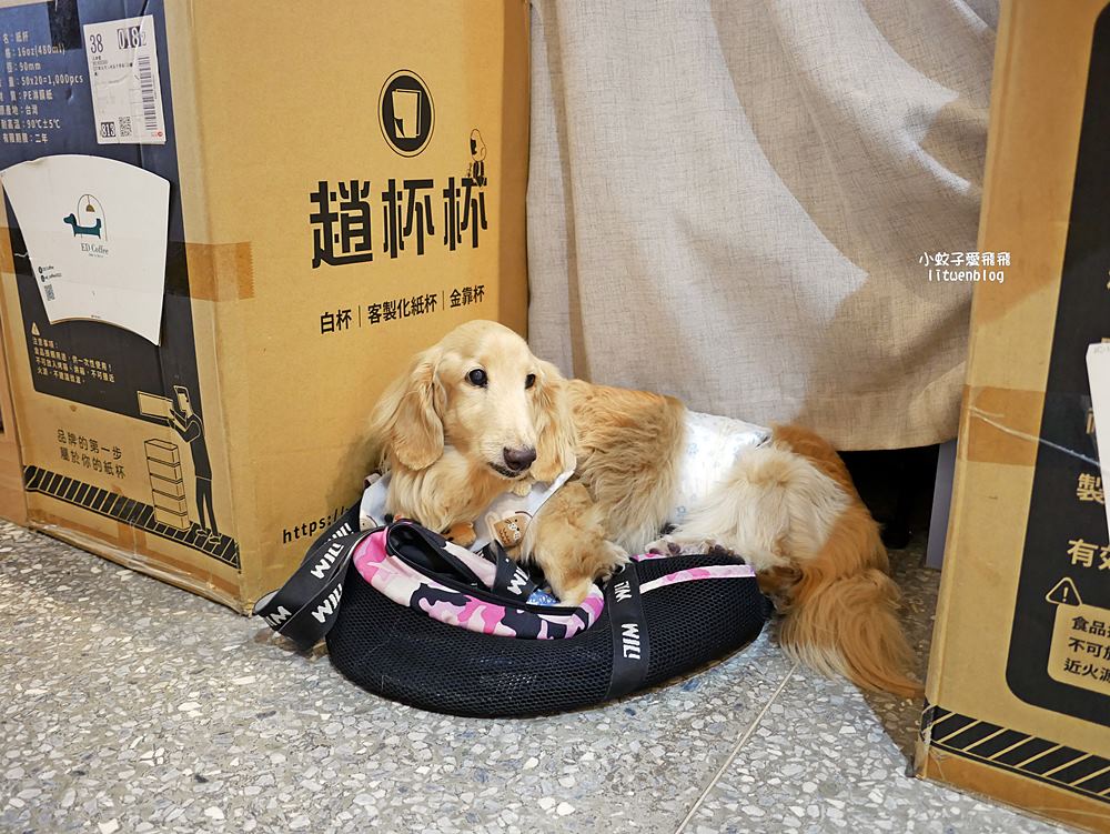 三峽咖啡「ED Coffee一滴咖啡館」手作甜點寵物友善，店狗也很親人
