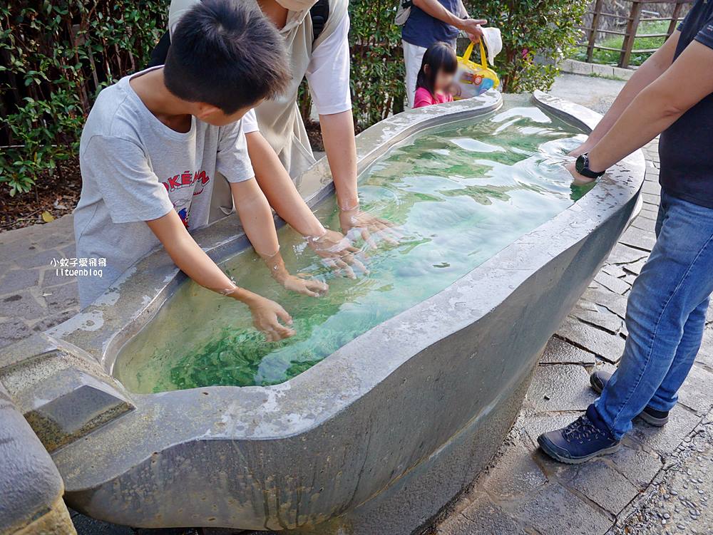 北投景點「地熱谷」青磺泉熱騰騰硫磺煙霧景色太仙 北投景點「地熱谷」青磺泉熱騰騰硫磺煙霧景色太仙