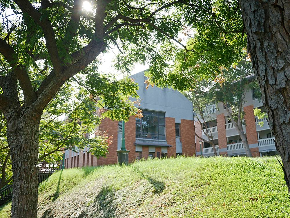 北投景點「國立臺北藝術大學」關渡平原大屯山遼闊景觀，台灣首座大學美術館關渡美術館