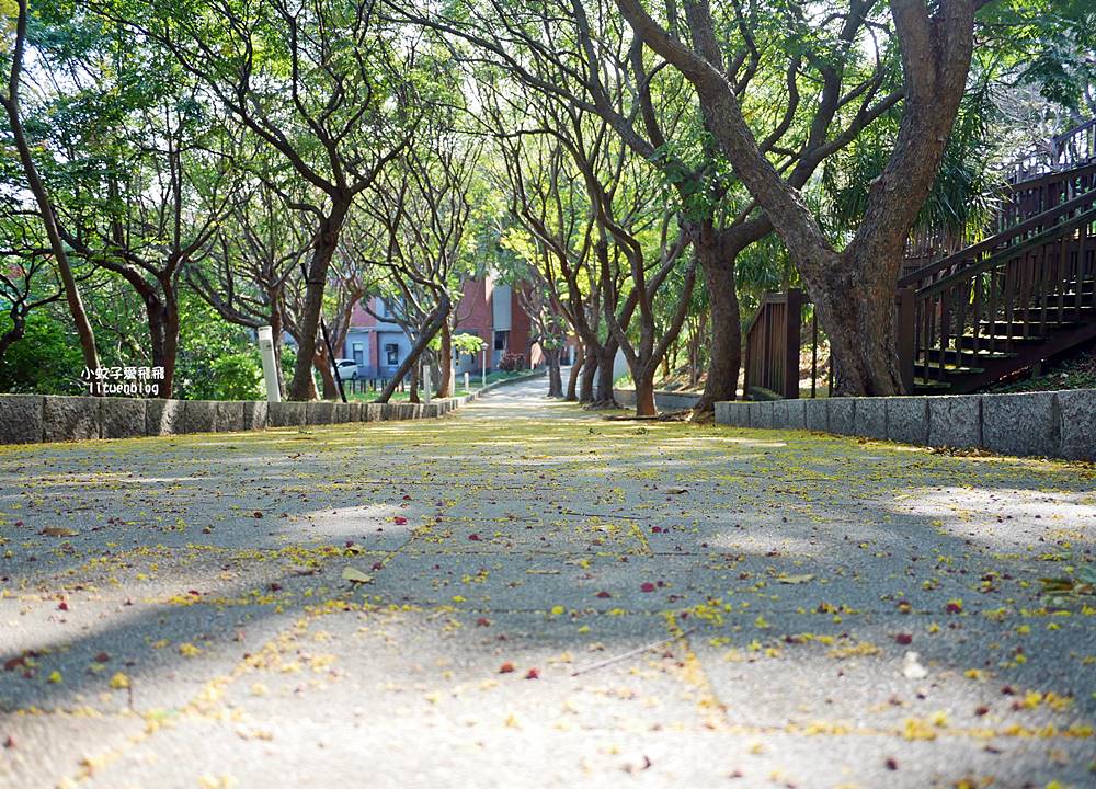 北投景點「國立臺北藝術大學」關渡平原大屯山遼闊景觀,台灣首座大學美術館關渡美術館 北投景點「國立臺北藝術大學」關渡平原大屯山遼闊景觀,台灣首座大學美術館關渡美術館