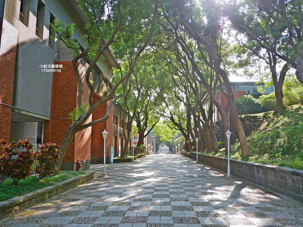 北投景點「國立臺北藝術大學」關渡平原大屯山遼闊景觀,台灣首座大學美術館關渡美術館 北投景點「國立臺北藝術大學」關渡平原大屯山遼闊景觀,台灣首座大學美術館關渡美術館
