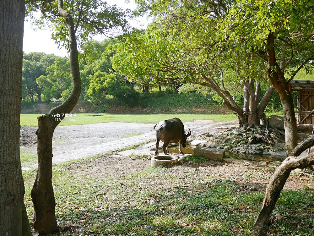 北投景點「國立臺北藝術大學」關渡平原大屯山遼闊景觀,台灣首座大學美術館關渡美術館 北投景點「國立臺北藝術大學」關渡平原大屯山遼闊景觀,台灣首座大學美術館關渡美術館