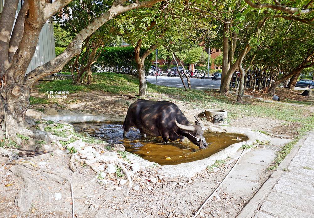 北投景點「國立臺北藝術大學」關渡平原大屯山遼闊景觀,台灣首座大學美術館關渡美術館 北投景點「國立臺北藝術大學」關渡平原大屯山遼闊景觀,台灣首座大學美術館關渡美術館