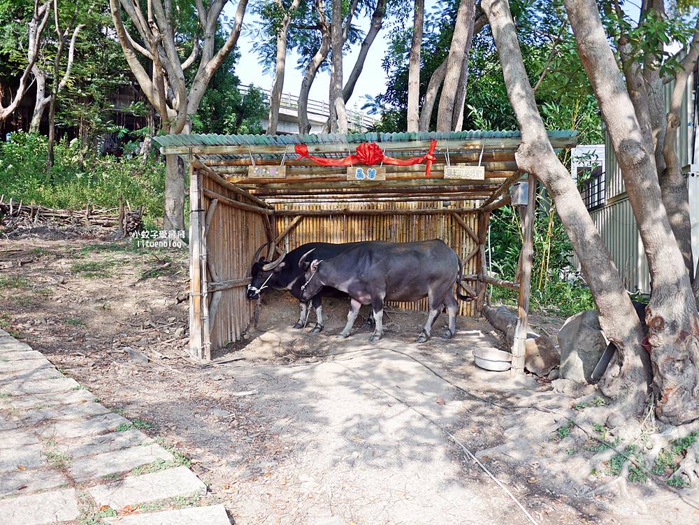 北投景點「國立臺北藝術大學」關渡平原大屯山遼闊景觀,台灣首座大學美術館關渡美術館 北投景點「國立臺北藝術大學」關渡平原大屯山遼闊景觀,台灣首座大學美術館關渡美術館
