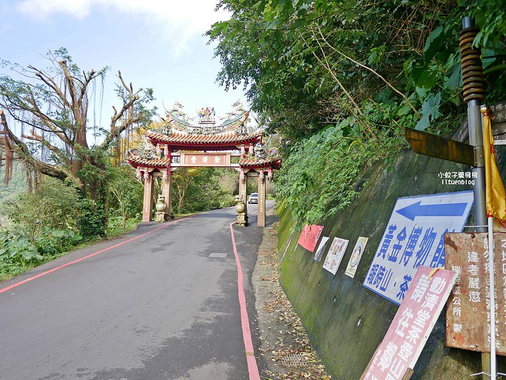 金瓜石景點報時山棧道｜報時山步道360度山海大景輕鬆達標