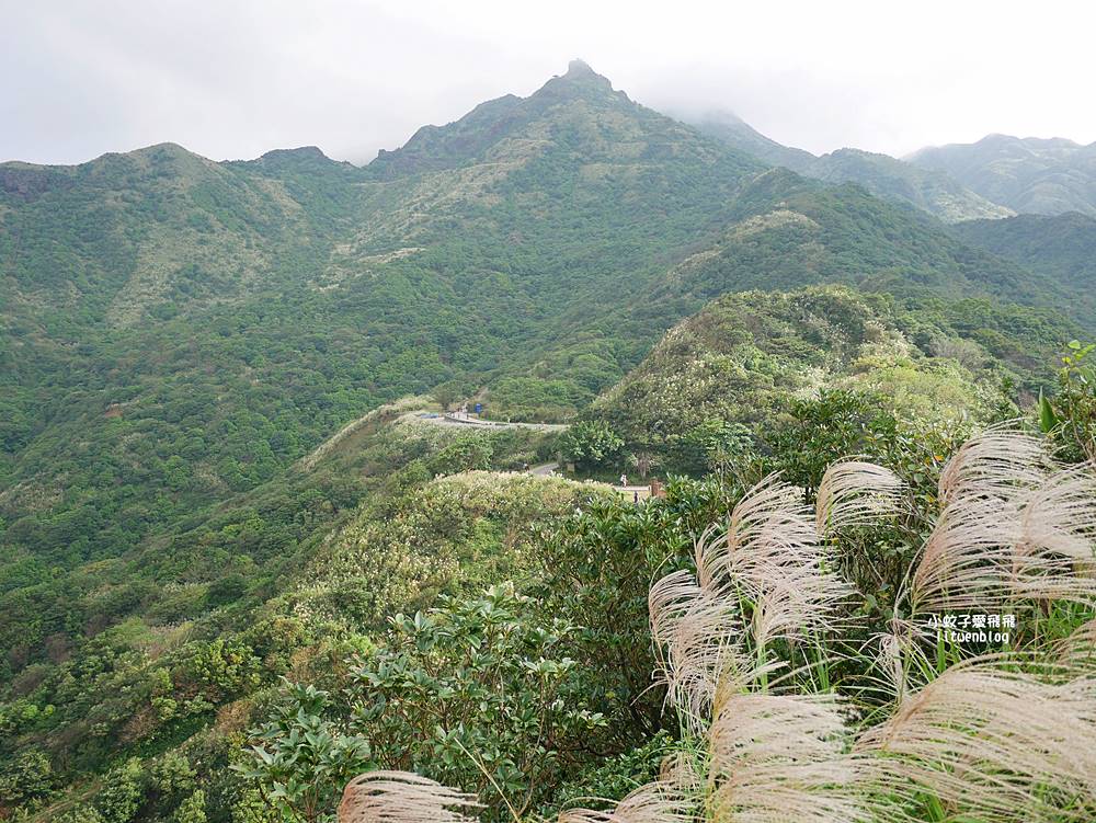 金瓜石景點報時山棧道｜報時山步道360度山海大景輕鬆達標