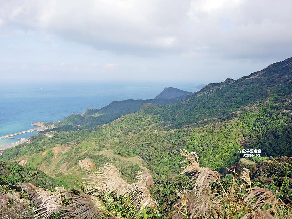 金瓜石景點報時山棧道｜報時山步道360度山海大景輕鬆達標