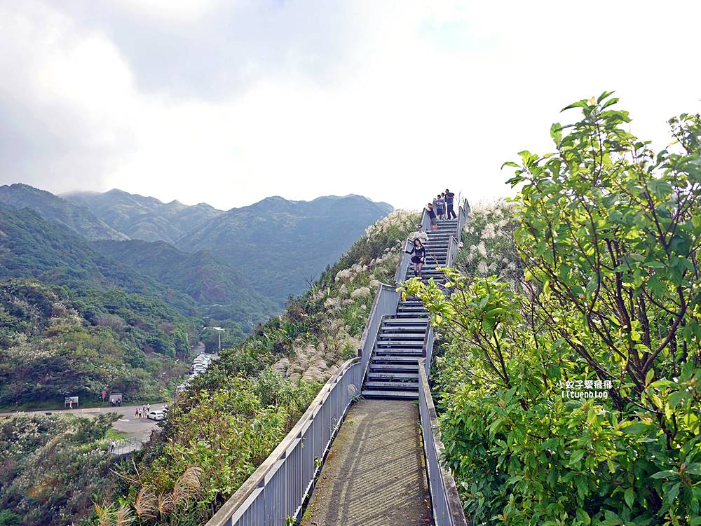 金瓜石景點報時山棧道｜報時山步道360度山海大景輕鬆達標