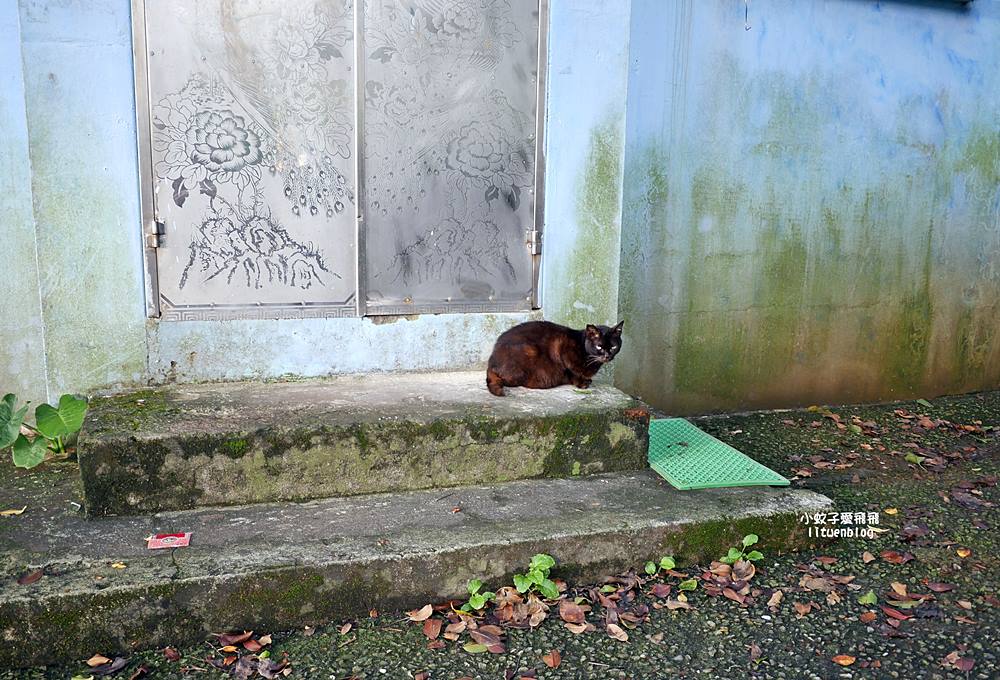 金瓜石景點報時山棧道｜報時山步道360度山海大景輕鬆達標
