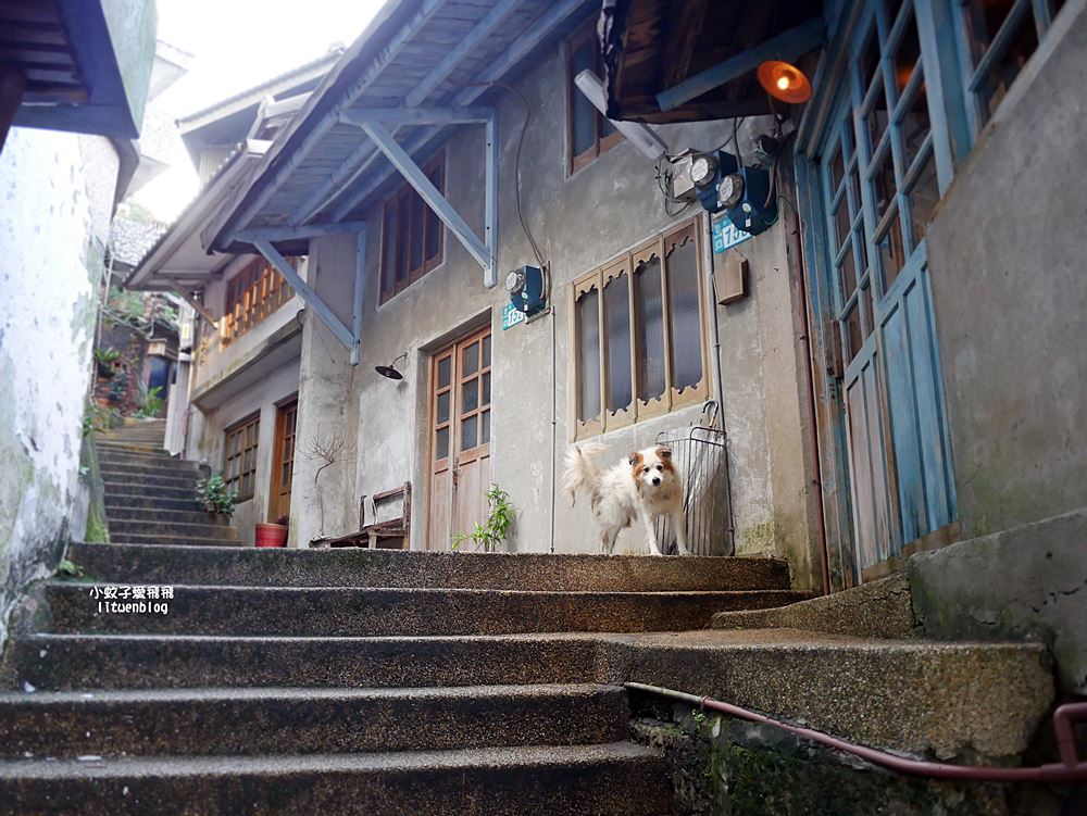 金瓜石景點報時山棧道｜報時山步道360度山海大景輕鬆達標