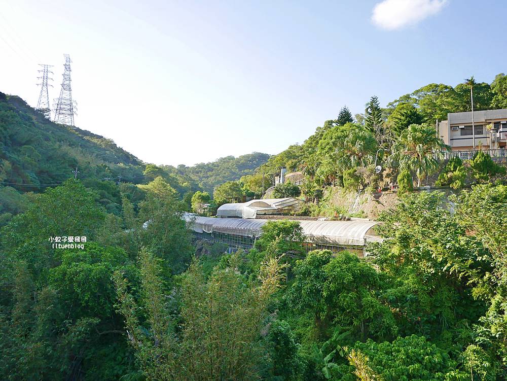 全台唯一紫色吊橋「白石湖吊橋」周邊景點春秋步道、同心池、夫妻樹、草莓園一日遊 全台唯一紫色吊橋「白石湖吊橋」周邊景點春秋步道、同心池、夫妻樹、草莓園一日遊