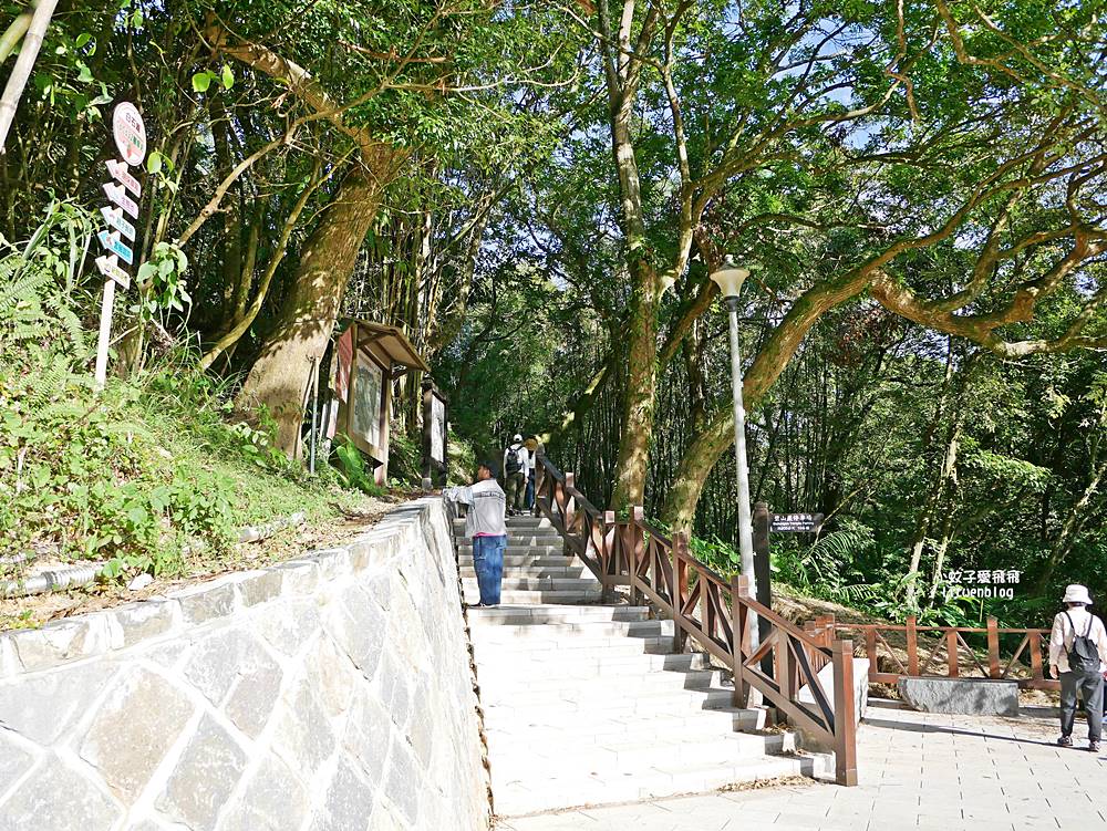 全台唯一紫色吊橋「白石湖吊橋」周邊景點春秋步道、同心池、夫妻樹、草莓園一日遊 全台唯一紫色吊橋「白石湖吊橋」周邊景點春秋步道、同心池、夫妻樹、草莓園一日遊
