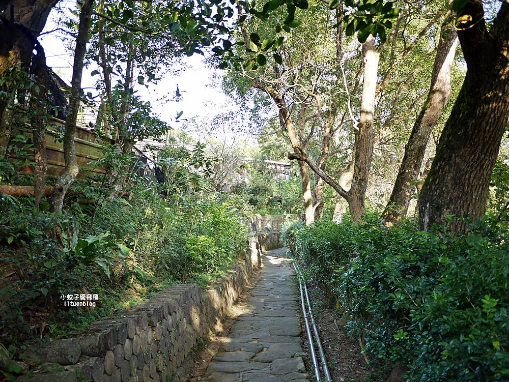 全台唯一紫色吊橋「白石湖吊橋」周邊景點春秋步道、同心池、夫妻樹、草莓園一日遊