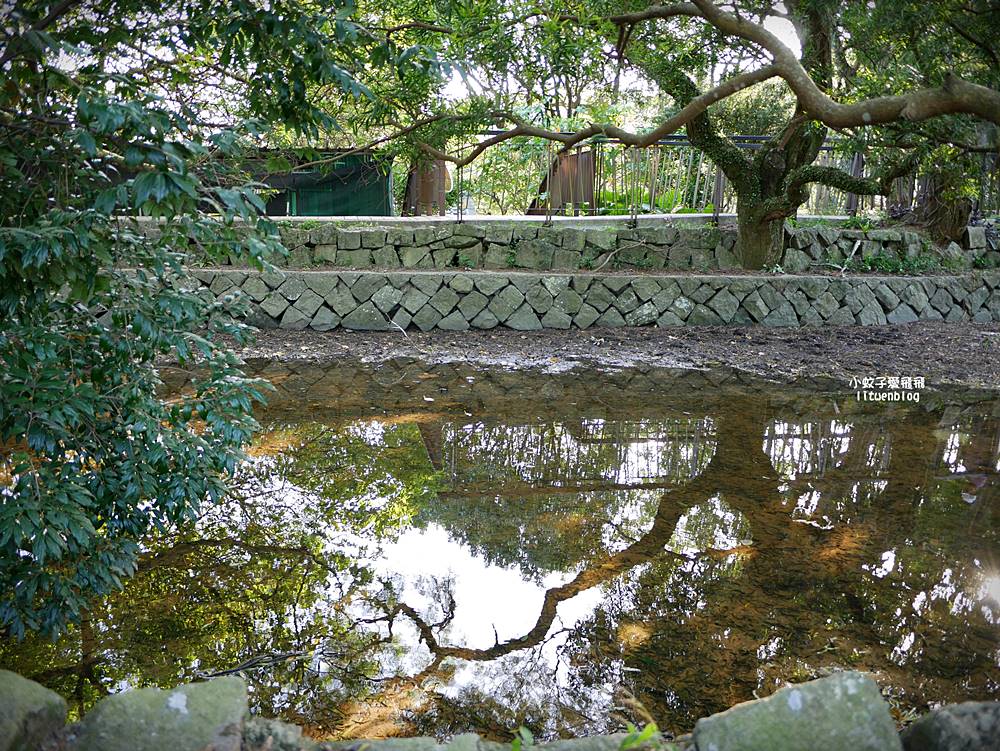 全台唯一紫色吊橋「白石湖吊橋」周邊景點春秋步道、同心池、夫妻樹、草莓園一日遊 全台唯一紫色吊橋「白石湖吊橋」周邊景點春秋步道、同心池、夫妻樹、草莓園一日遊