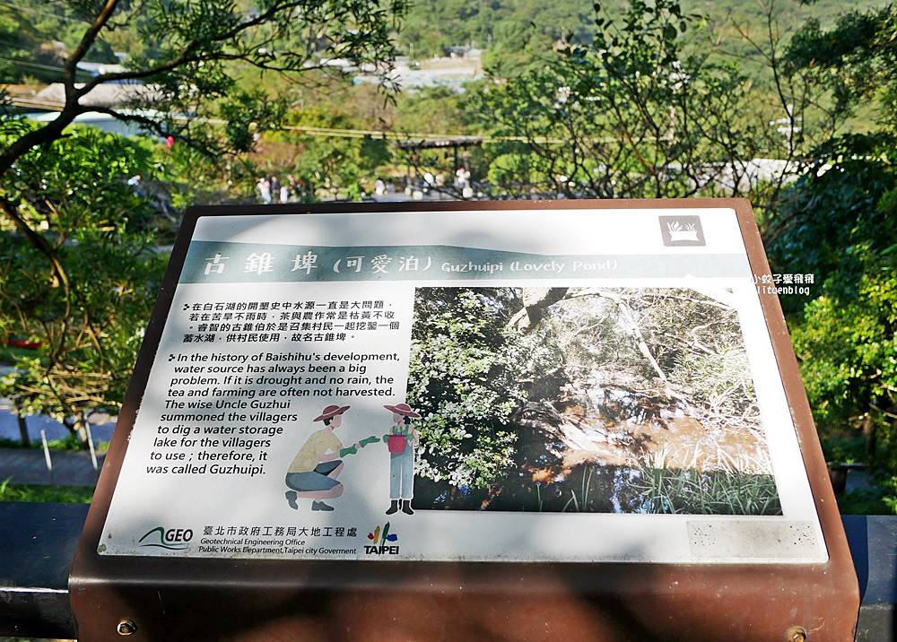 全台唯一紫色吊橋「白石湖吊橋」周邊景點春秋步道、同心池、夫妻樹、草莓園一日遊