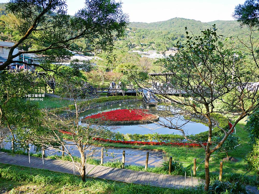 全台唯一紫色吊橋「白石湖吊橋」周邊景點春秋步道、同心池、夫妻樹、草莓園一日遊 全台唯一紫色吊橋「白石湖吊橋」周邊景點春秋步道、同心池、夫妻樹、草莓園一日遊