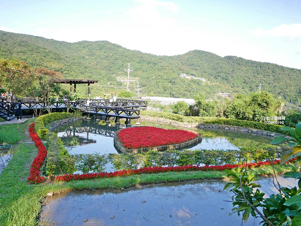 全台唯一紫色吊橋「白石湖吊橋」周邊景點春秋步道、同心池、夫妻樹、草莓園一日遊 全台唯一紫色吊橋「白石湖吊橋」周邊景點春秋步道、同心池、夫妻樹、草莓園一日遊