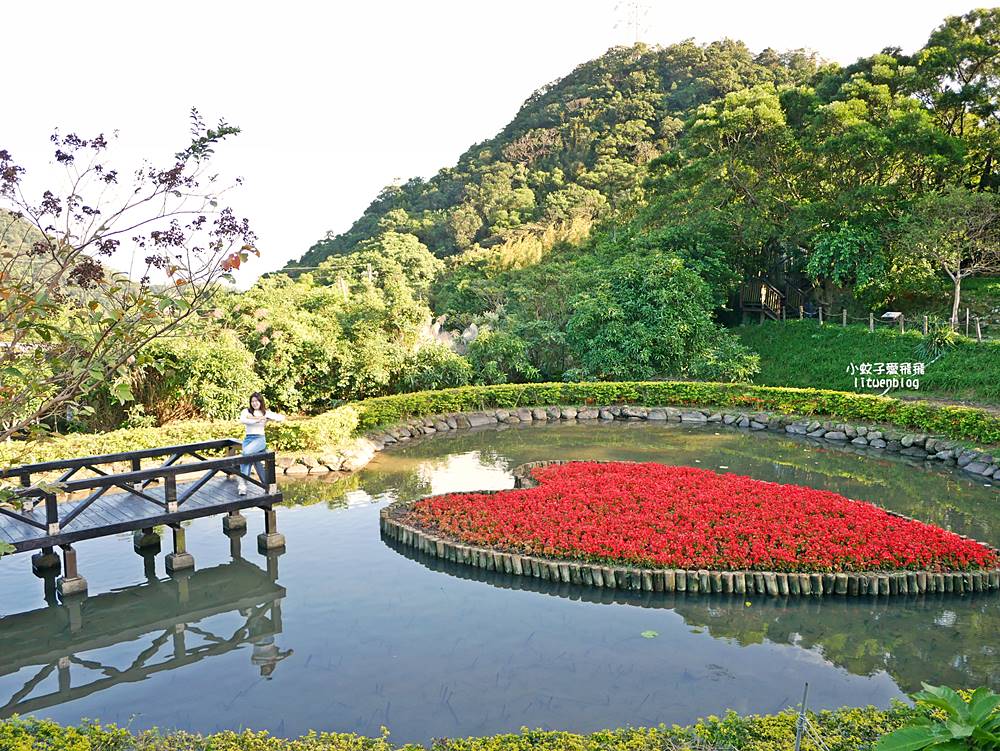 全台唯一紫色吊橋「白石湖吊橋」周邊景點春秋步道、同心池、夫妻樹、草莓園一日遊 全台唯一紫色吊橋「白石湖吊橋」周邊景點春秋步道、同心池、夫妻樹、草莓園一日遊