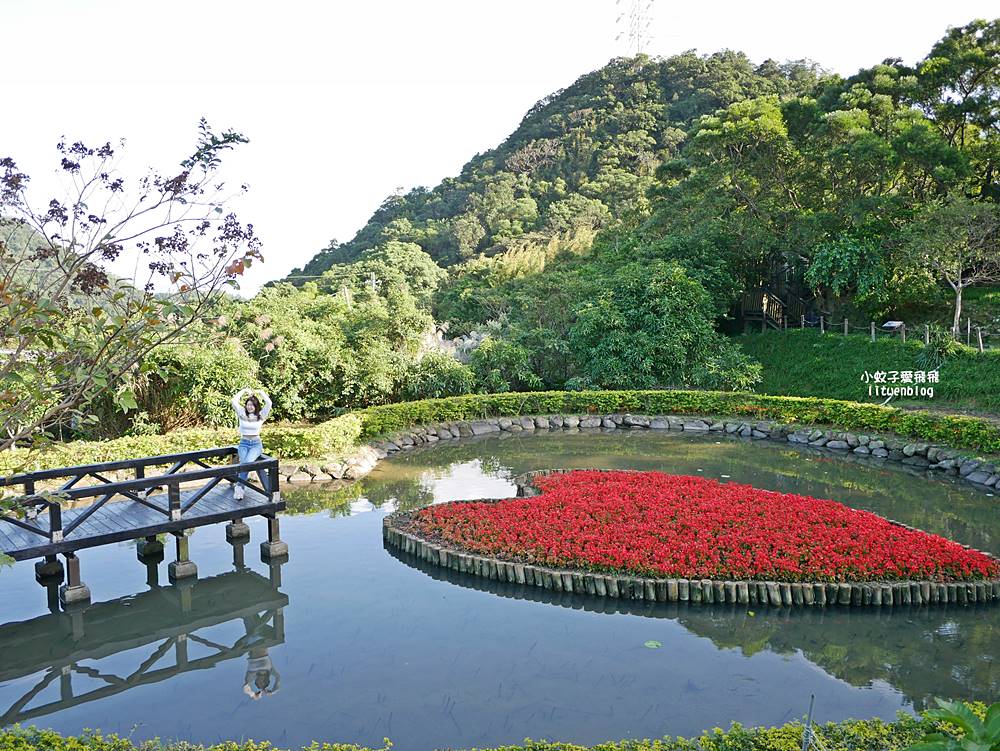 全台唯一紫色吊橋「白石湖吊橋」周邊景點春秋步道、同心池、夫妻樹、草莓園一日遊 全台唯一紫色吊橋「白石湖吊橋」周邊景點春秋步道、同心池、夫妻樹、草莓園一日遊