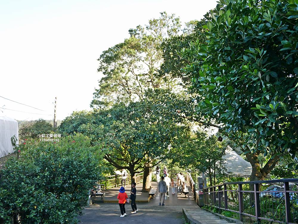 全台唯一紫色吊橋「白石湖吊橋」周邊景點春秋步道、同心池、夫妻樹、草莓園一日遊