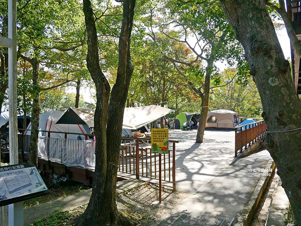 內湖秘境「碧山露營場」絕美空中廊道賞台北101飛機起降免費入場