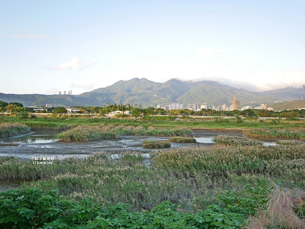 關渡自行車道&社子島自行車道，關渡宮往八里或社子島濕地輕鬆悠遊