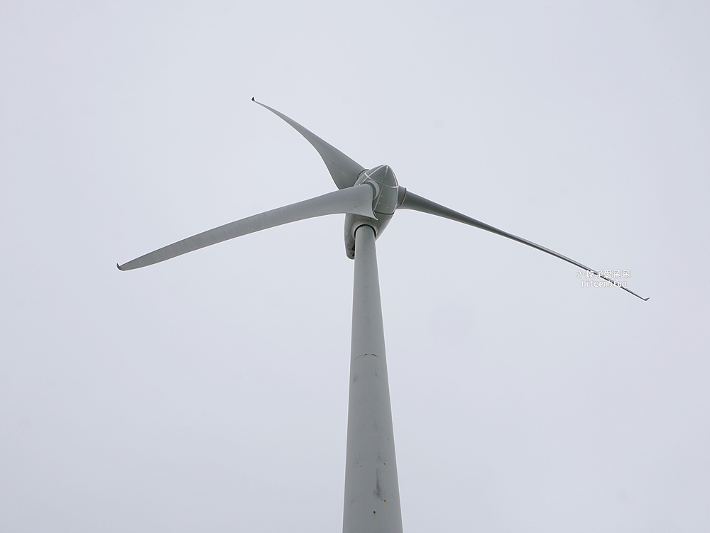 苗栗景點「後龍好望角風景區」海岸線、風力發電機、火車鐵道超遼闊無敵大景