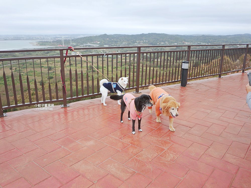 苗栗景點「後龍好望角風景區」海岸線、風力發電機、火車鐵道超遼闊無敵大景