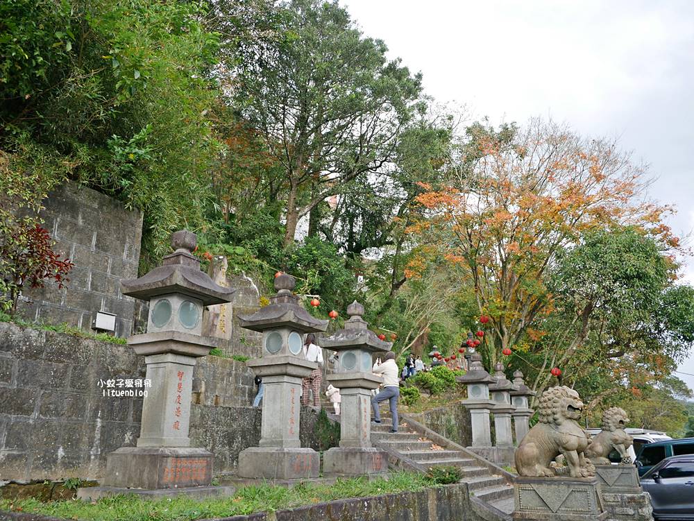 秋冬限定，汐止拱北殿古典雙拱橋賞楓秘境