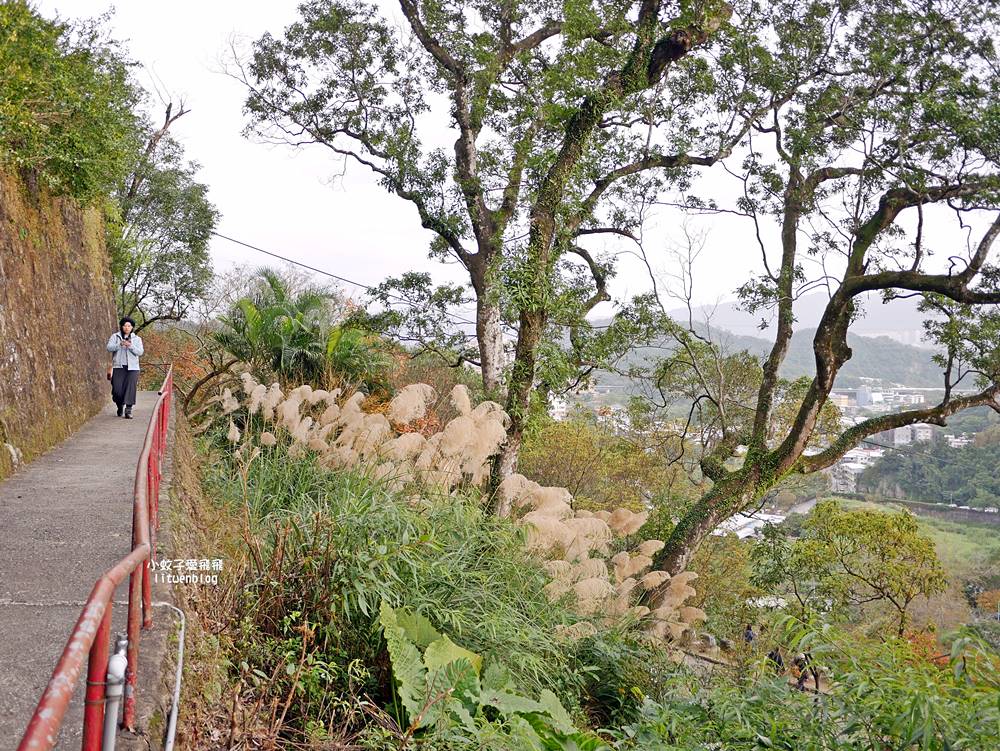 秋冬限定,汐止拱北殿古典雙拱橋賞楓秘境 秋冬限定,汐止拱北殿古典雙拱橋賞楓秘境