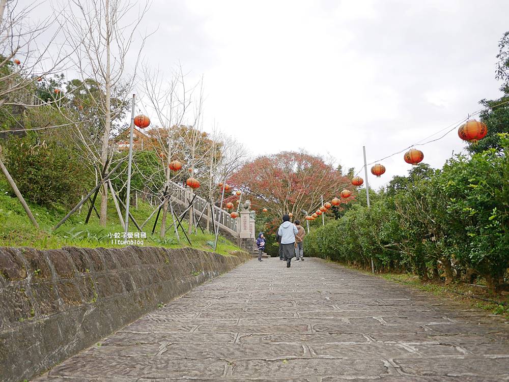 秋冬限定，汐止拱北殿古典雙拱橋賞楓秘境