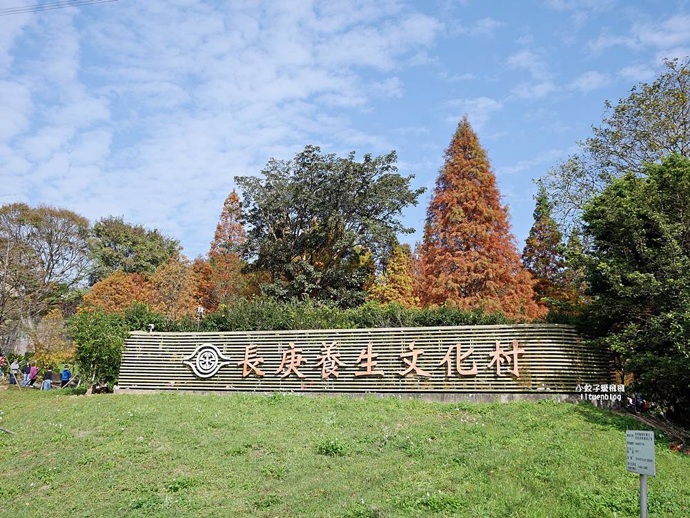桃園「長庚養生文化村落羽松公園」環湖落羽松林與倒影優美浪漫