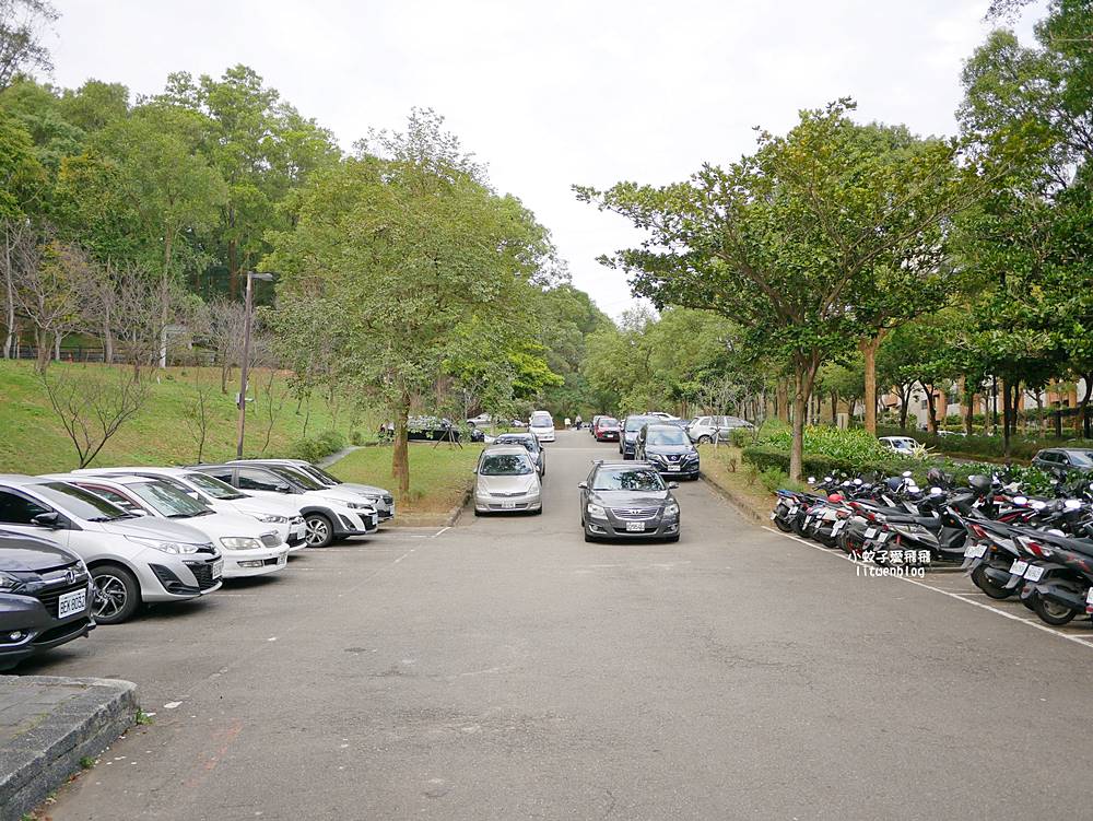 桃園「長庚養生文化村落羽松公園」環湖落羽松林與倒影優美浪漫